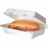 Eco-Products Hoagie Clamshell Box, 250/Carton (EP-HC96NFA)